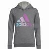 Kids * | Adidas Big Girls Long Sleeve Graphic Fleece Pullover Hoodie