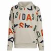 Kids * | Adidas Big Boys Long Sleeve Lineage Love Pullover Hoodie