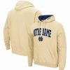 Sports Fan Shop * | Men'S Notre Dame Fighting Irish Arch And Logo 3.0 Pullover Hoodie Gold