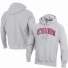 Sports Fan Shop * | Champion Men'S Bethune-Cookman Wildcats Tall Arch Pullover Hoodie Gray